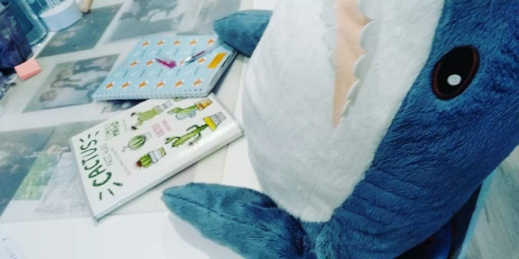 Стоит ли учится у акулы из икеи? | Wiki | 🦈Акула из ИКЕИ🦈 Amino