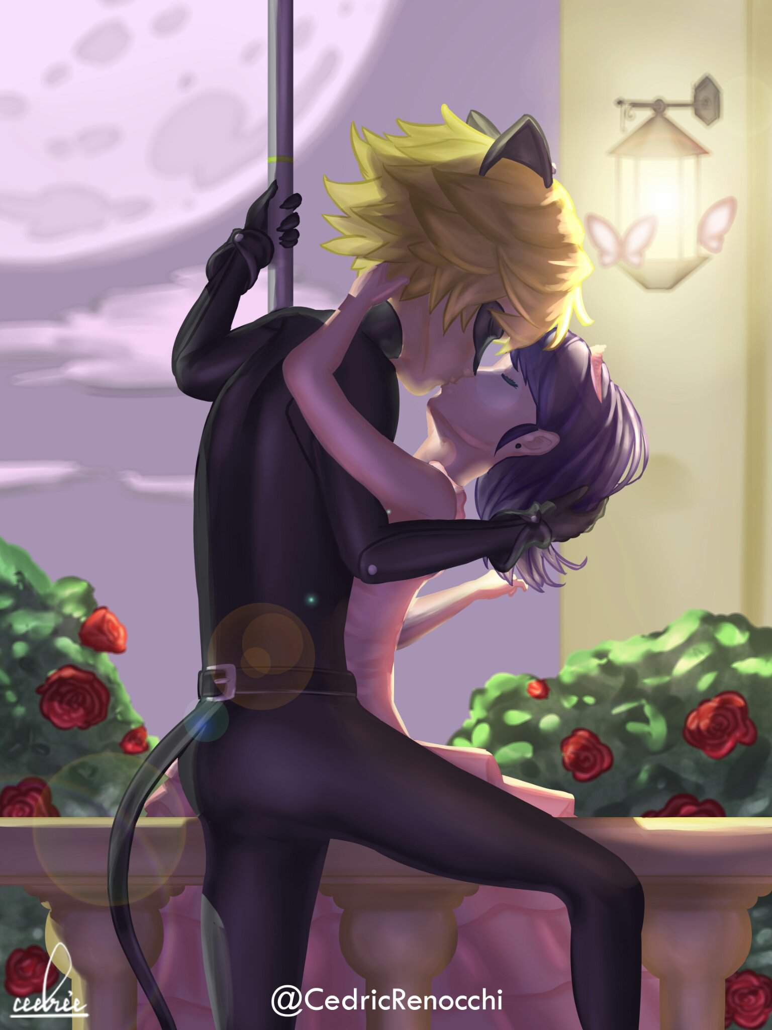 Sweet Kiss of Cat Noir and Marinette Miraculous Amino.