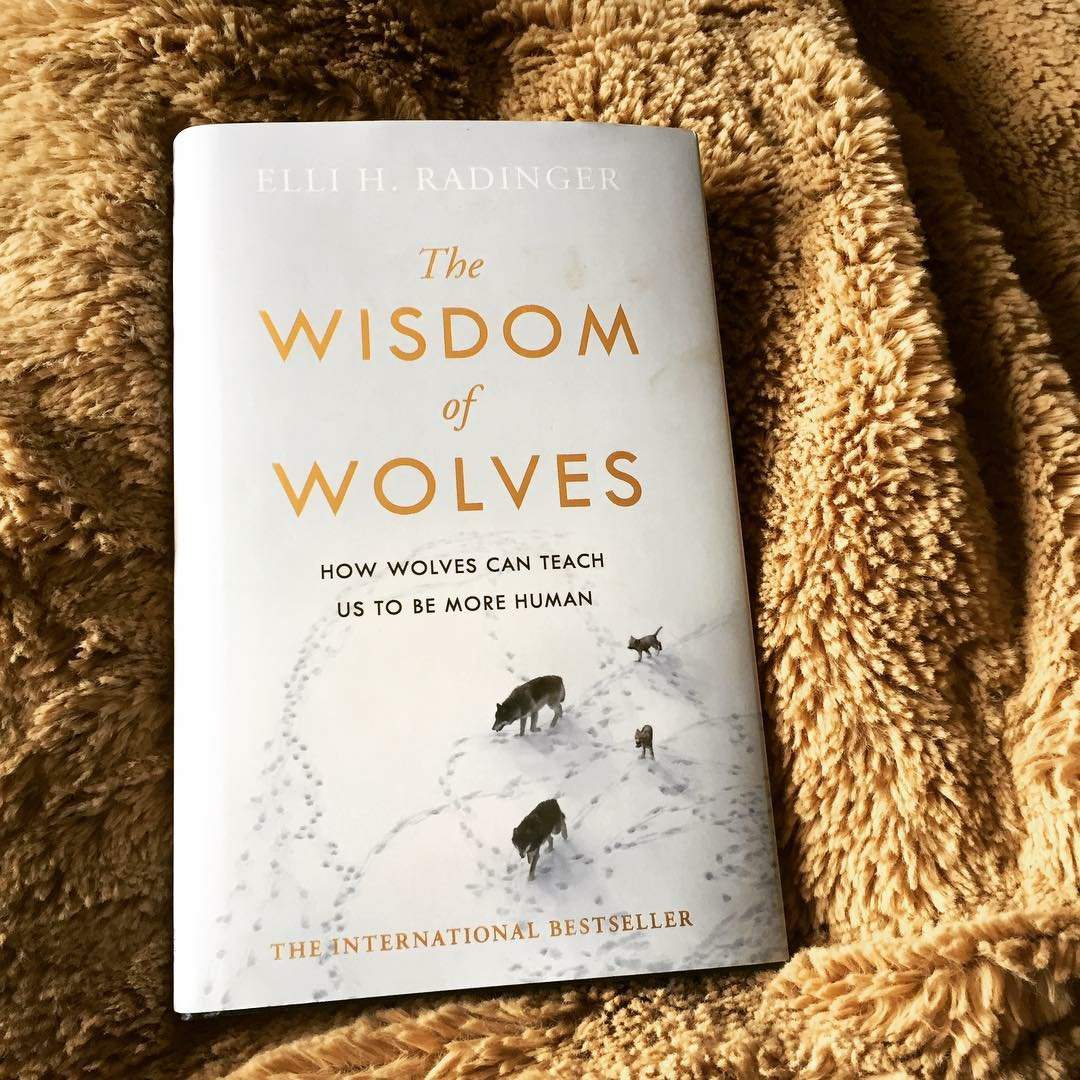 The Wisdom Of Wolves 