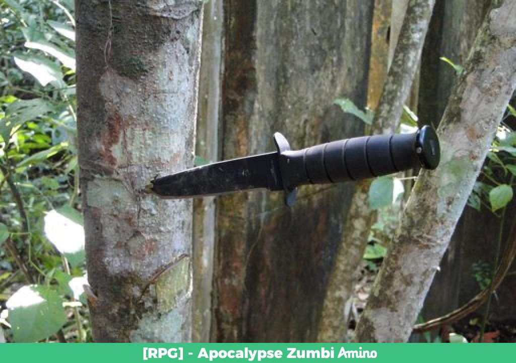 Armas Wiki RPG Apocalypse Zumbi Amino