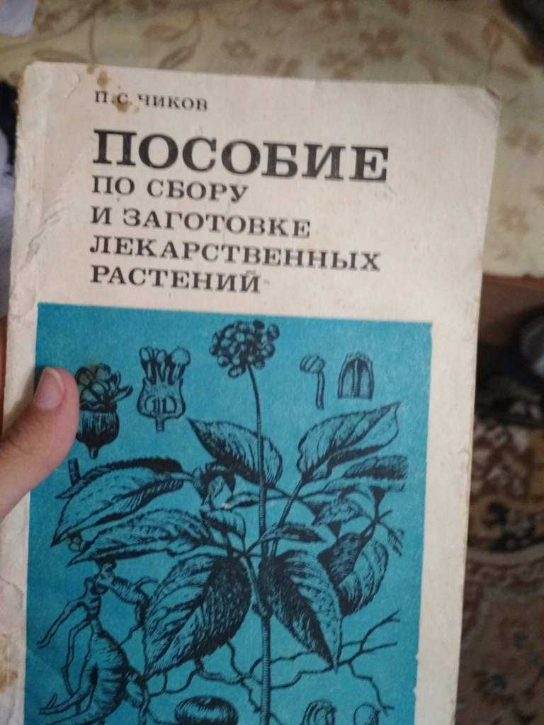 Варенья из калины и их виды | Wiki | •Обитель Ведьм• |Witch’s Home Amino