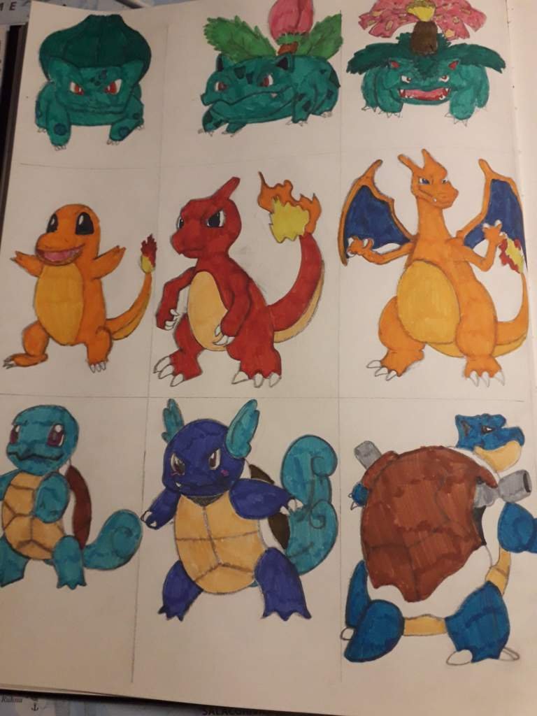 3 starters Wiki Pokémon Amino