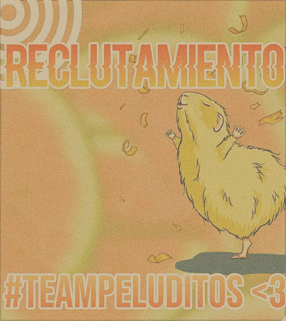 🌻reclutamiento Teampeluditos 🐹 •cobayas• Amino• Amino