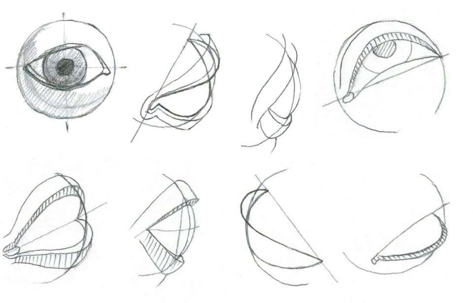 Глаз карандашом рисунок анатомия
