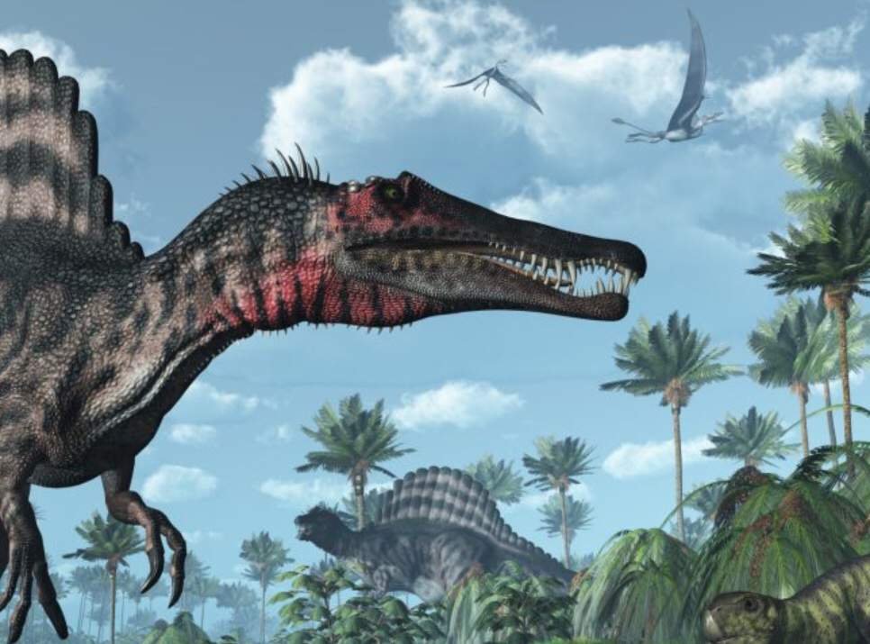 Архи (спинозавр) | Wiki | Jurassic World Ru Amino