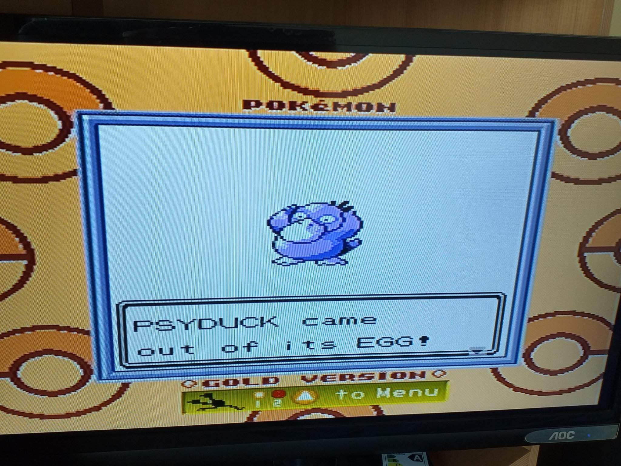 Shiny Psyduck 115 Eggs Pokemon Gold Pokémon Amino