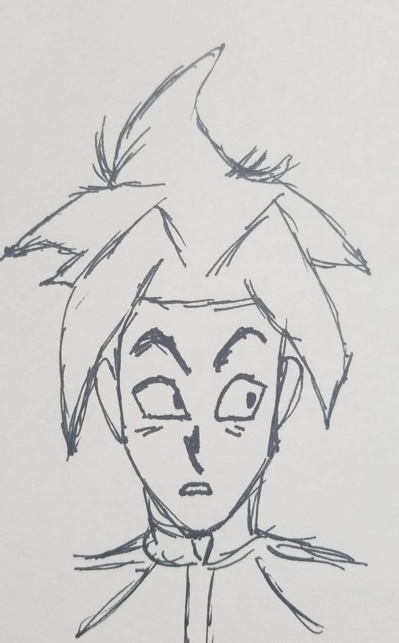 The Leolulu Face Mystery: Solved!