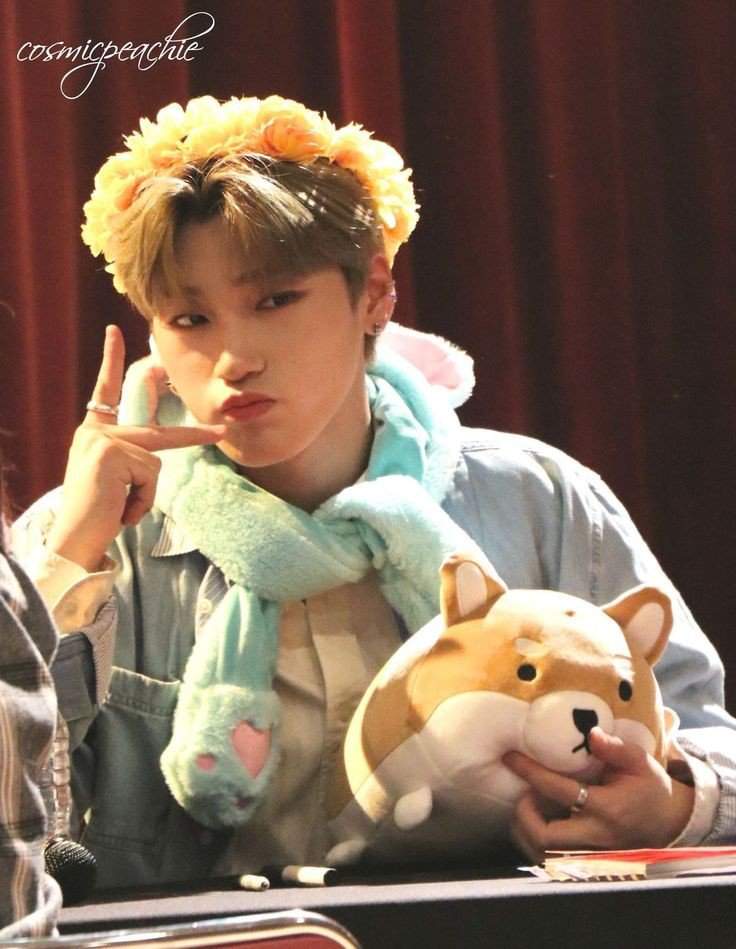 shiber plush ateez