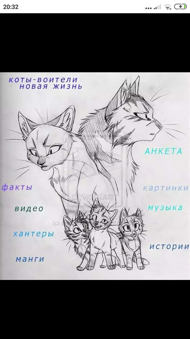 Мои рисунки котов воителей