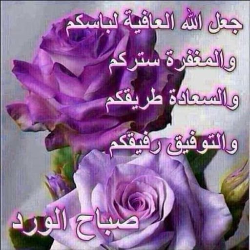 أسعد الله صباحكم بكل خير Good morning arabic, Beautiful morning