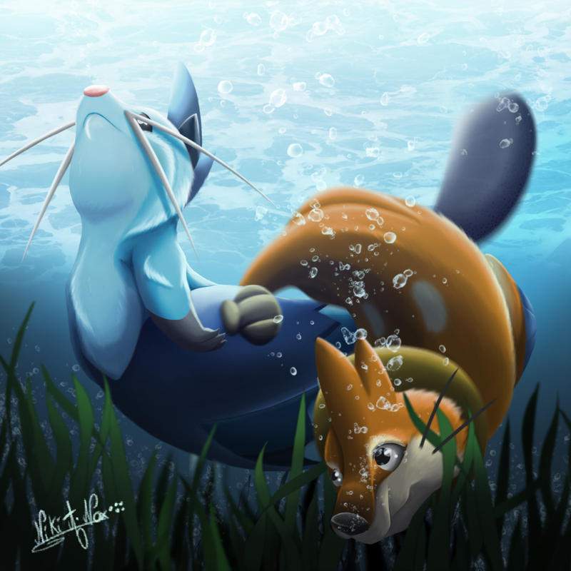 Dewott and Buizel UnderWater Pokémon Amino