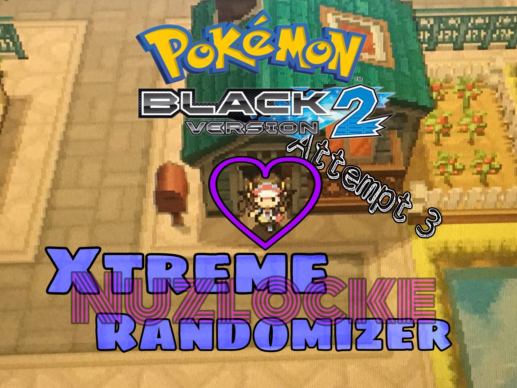 pokemon randomizer black 2