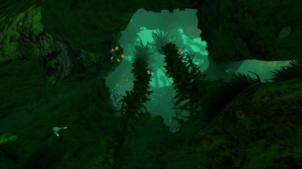 Kelp Forest Wiki Subnautica Amino