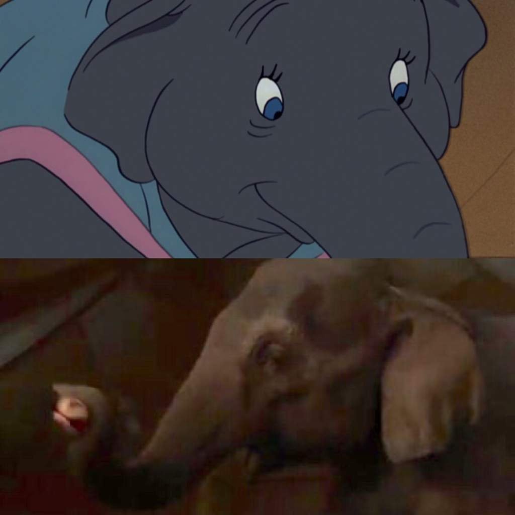 mrs jumbo disney tradition