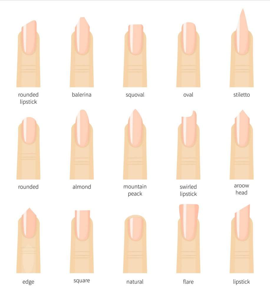 Nail shapes and references | Nail Art Amino Nail shapes and references | Nail Art Amino
