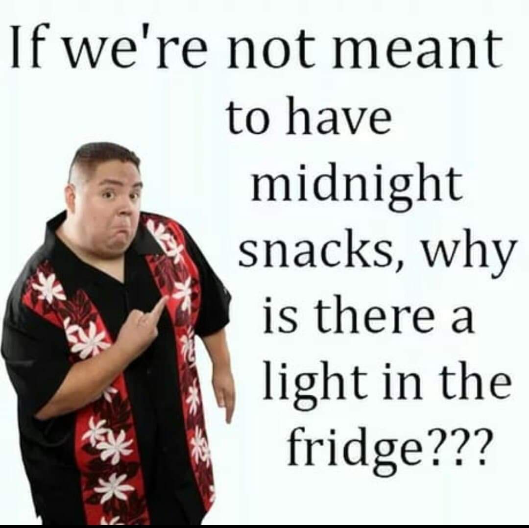 good-question-why-is-there-a-light-in-the-fridge-memes-amino