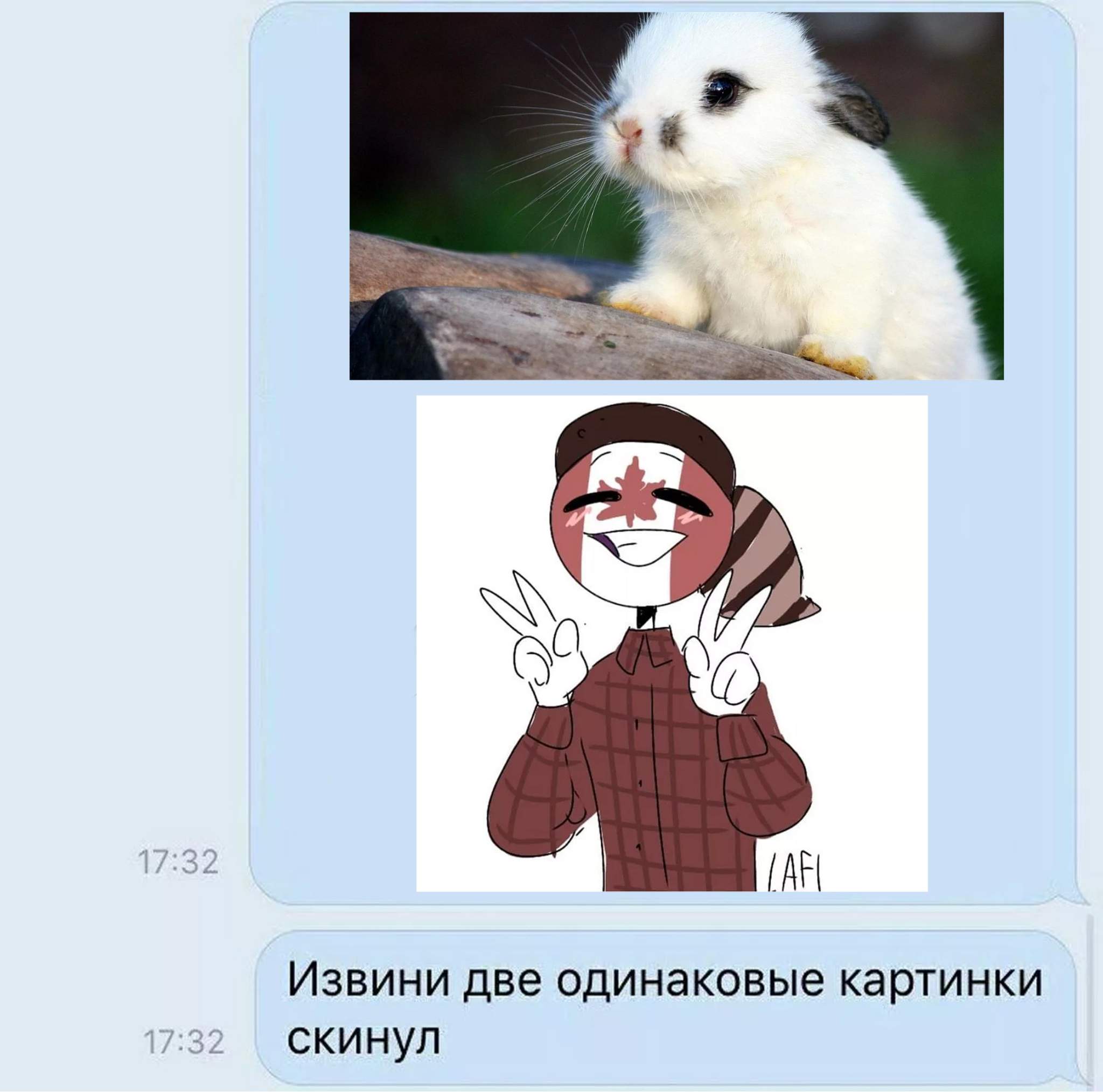 Это одинаковые картинки