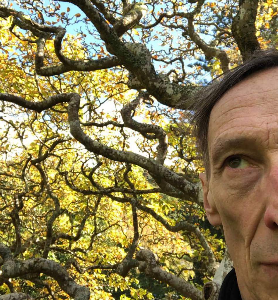 julian richings (aka death)