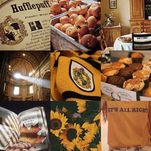 Hufflepuff Wiki Harry Potter German Amino Amino