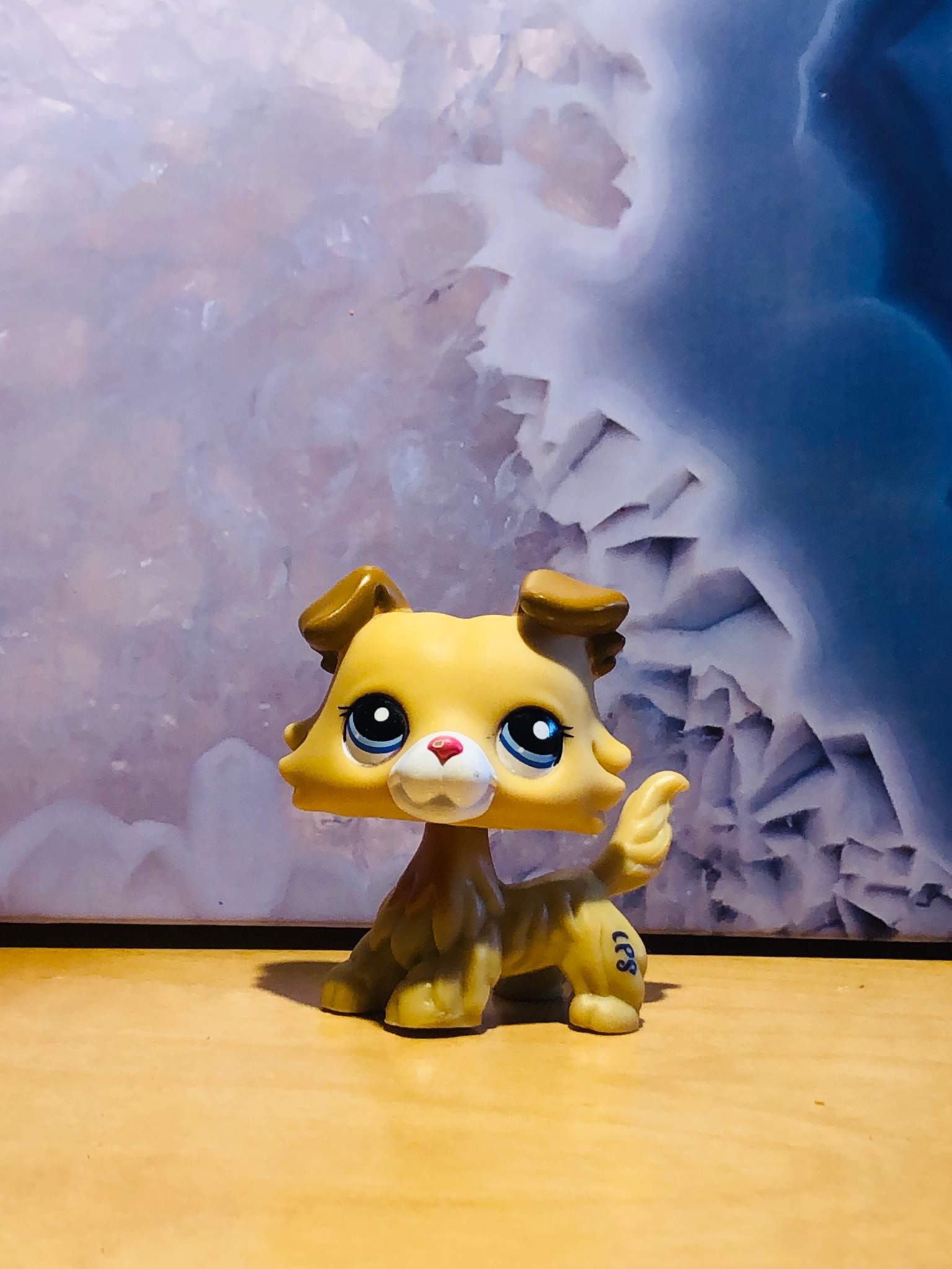 My LPS Samantha Paw Wiki LPS Amino