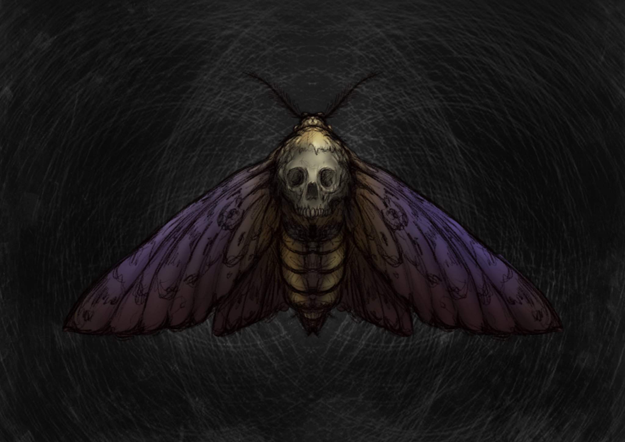 Plagued moth only fans