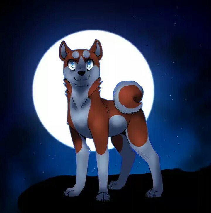 Орион | Wiki | ≈ Легенда О Серебряном Клыке ≈ Amino