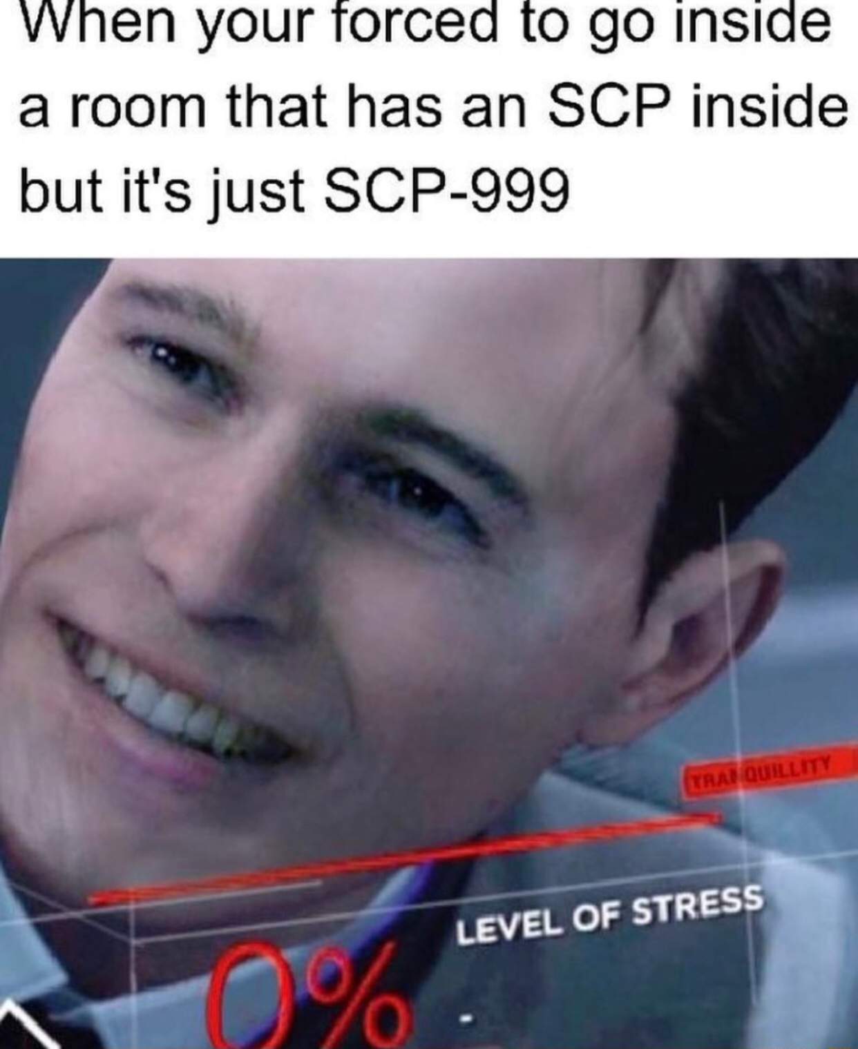 Some Scp Memes 