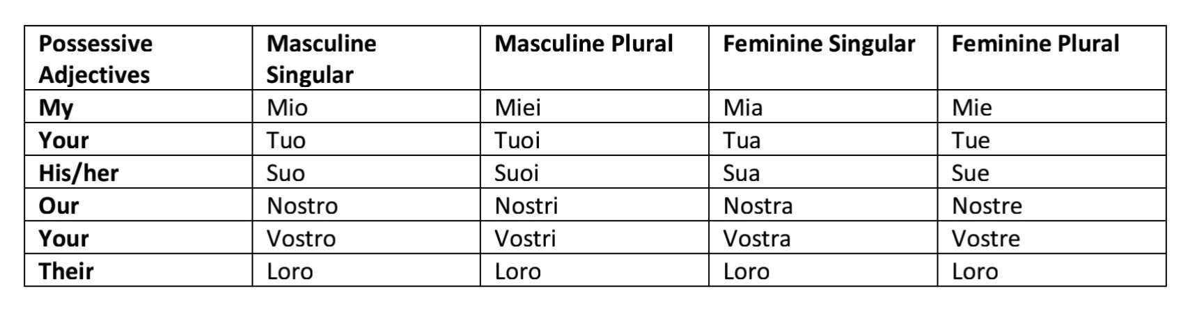 Possessive Adjectives Italian Examples