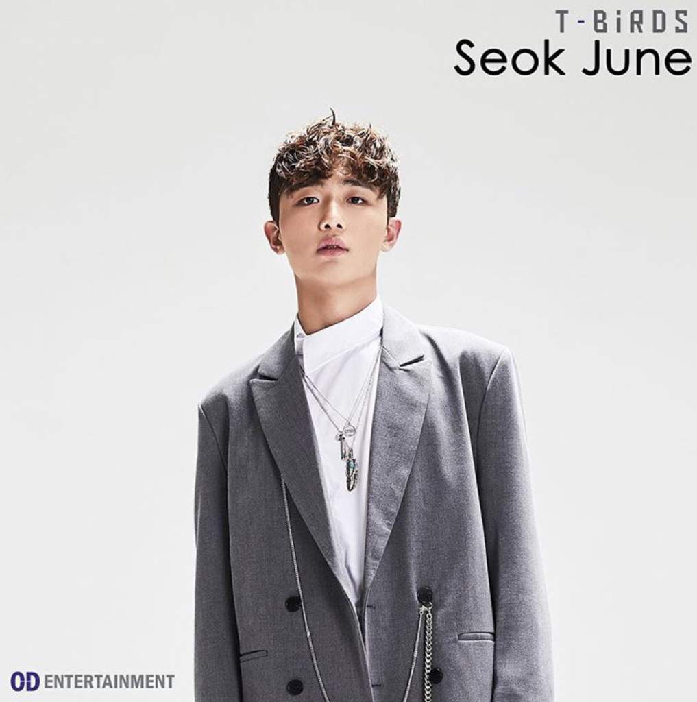 Get To Know: Seokjune | Wiki | The T-Bird (티버드) Amino