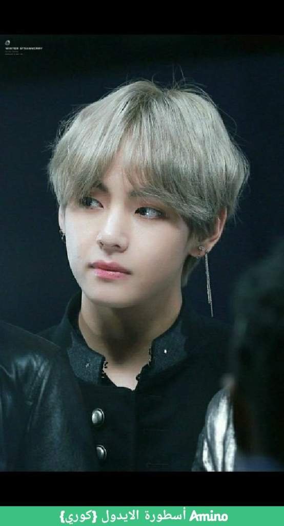 شعار تاي Bts Army S Amino
