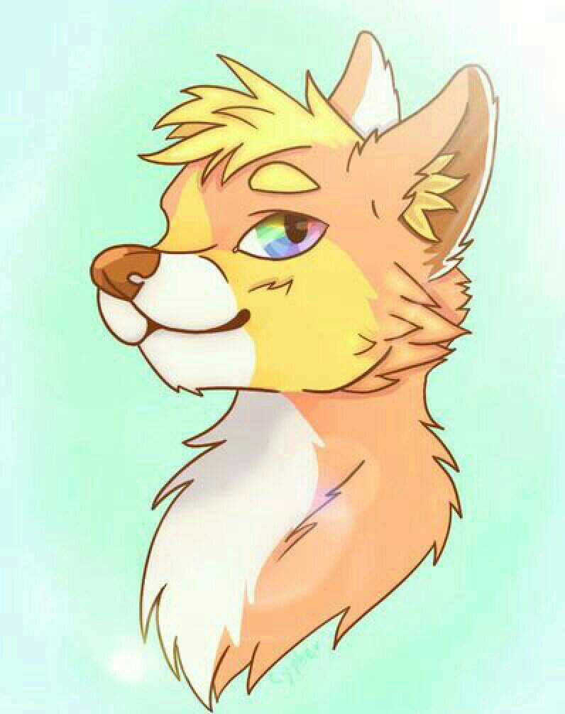 Sunny sun  Furry Amino