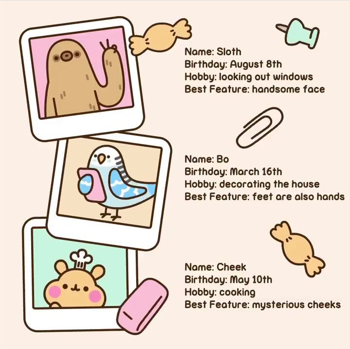 pusheen cheek hamster