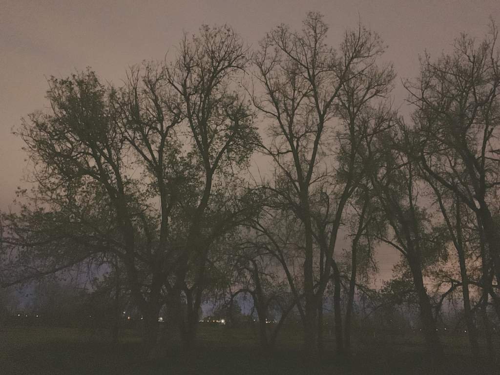 Is Colorado S Riverdale Road Haunted It Depends Who You Ask 9news Com