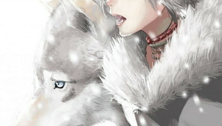 Wolf in womens clothing anime