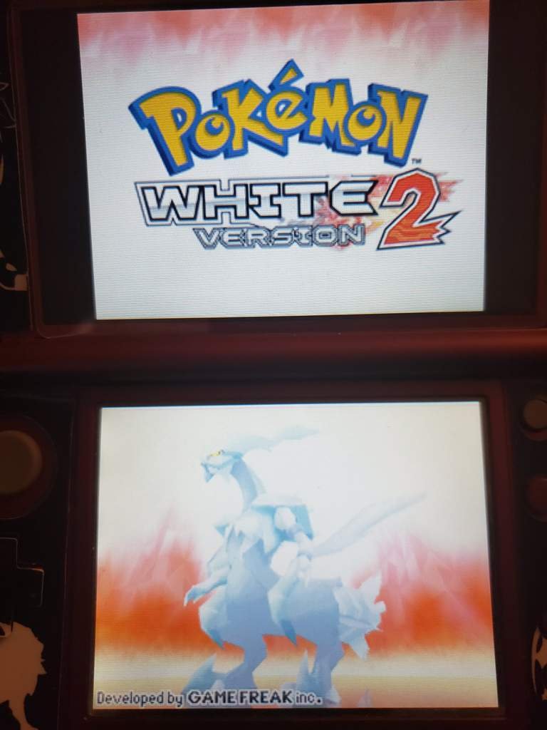 Fade to White Pokémon Amino