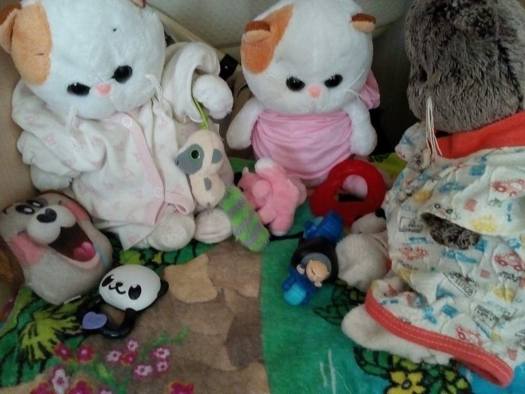 Играем🎀🎨 | ♥Басики♥ И уход за ними★ Amino