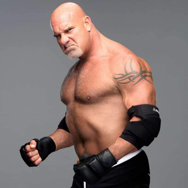 Goldberg Wiki Official WWE Amino Amino.