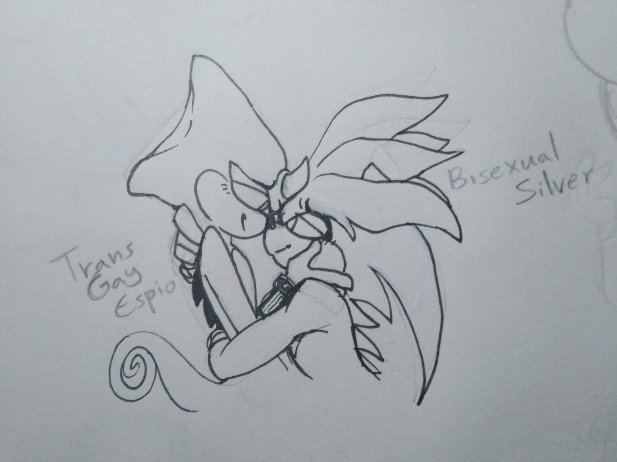 Espio x Silver (idk what their ship name is called-) Sonic the Hedgehog! 