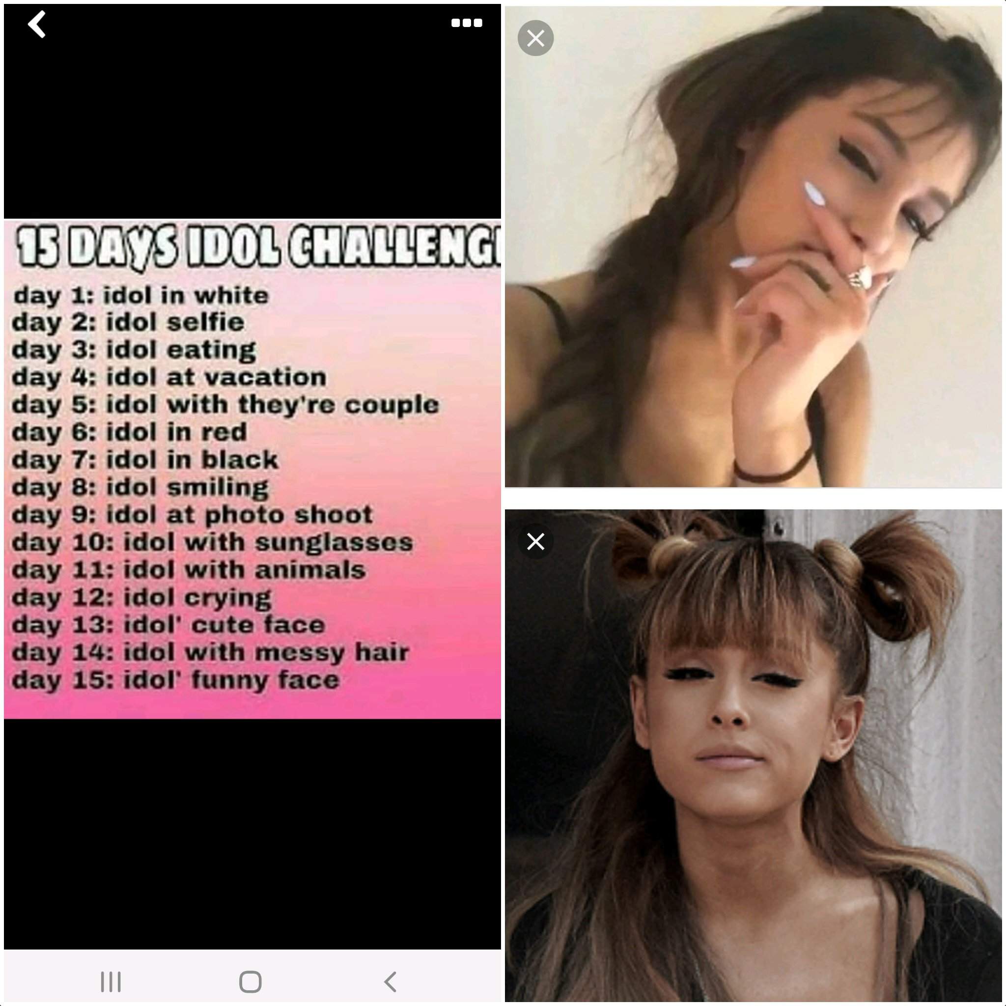Day 14 of 15 day idol challenge | Wiki | Ariana Grande Amino