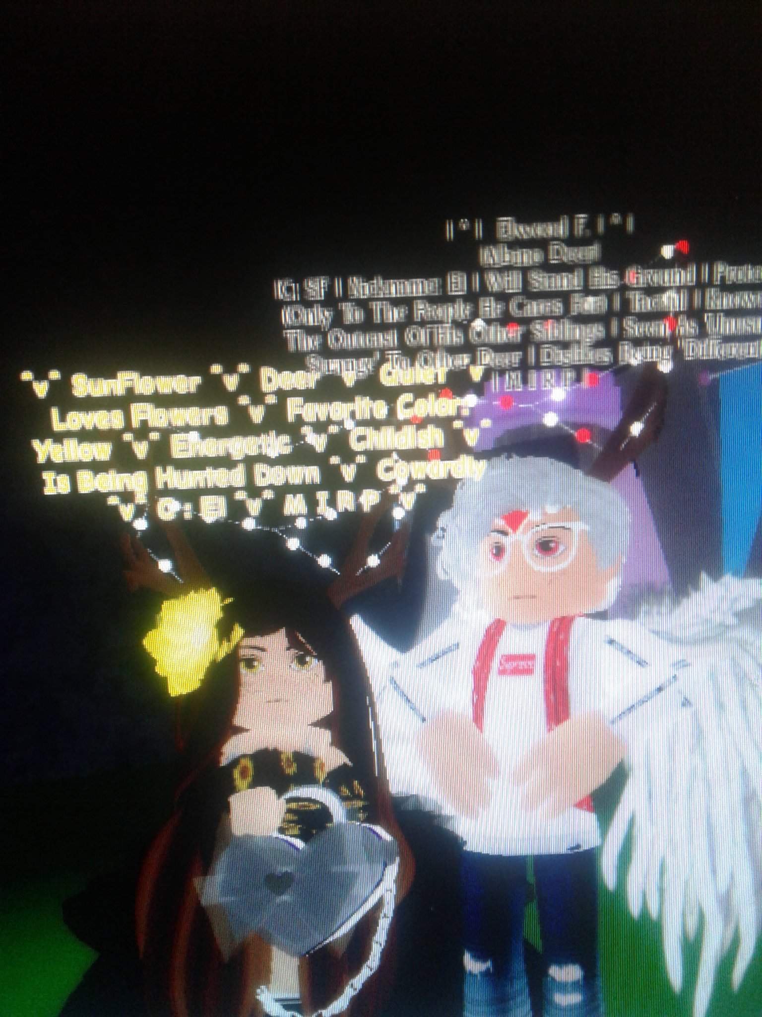 These Two Roblox Amino