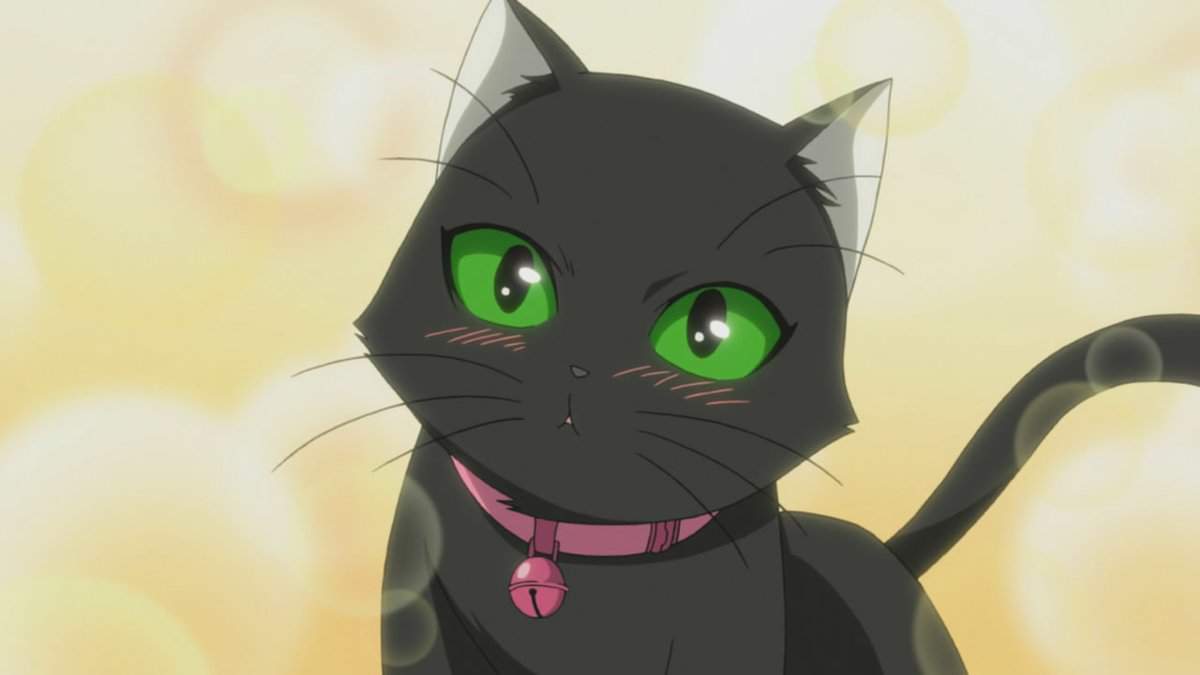Картинки аниме кошки
