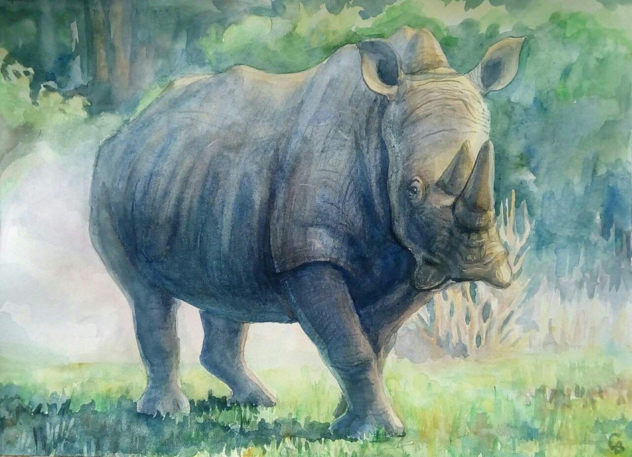 Richard Owen носорог