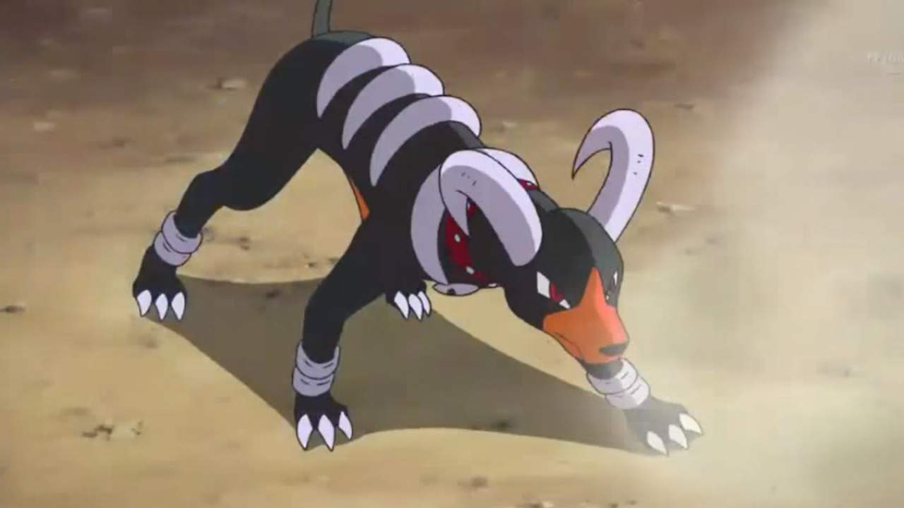 What if Houndoom was real? | Pokémon Amino