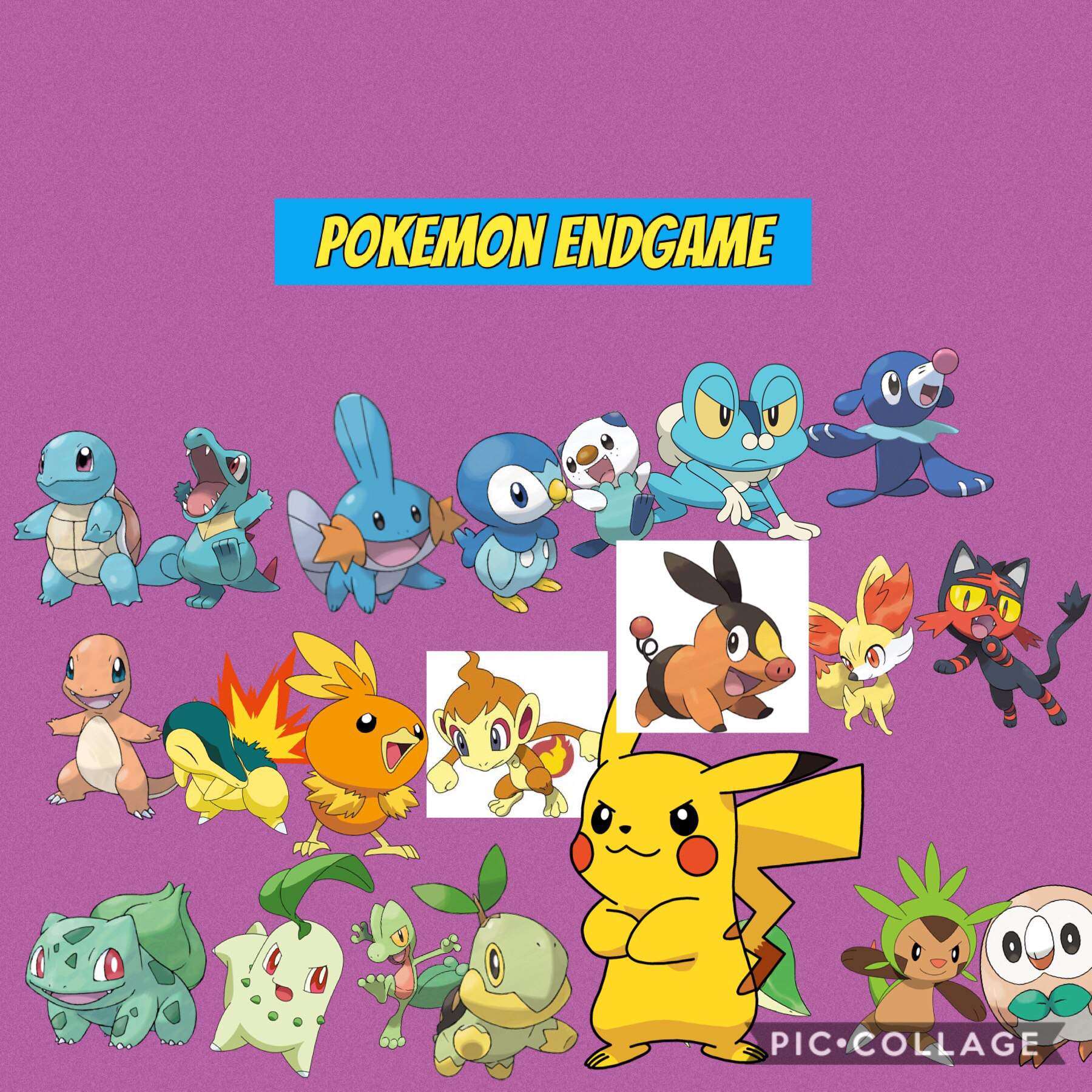 Pokemon endgame Pokémon Amino