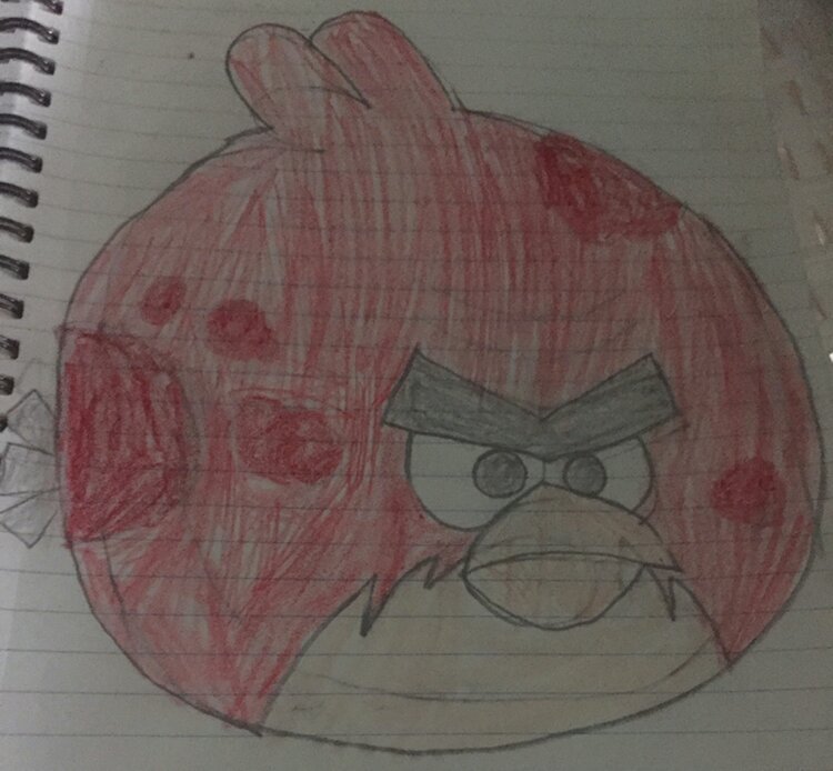 day-16-the-big-bad-terence-angry-birds-real-fan-amino-amino