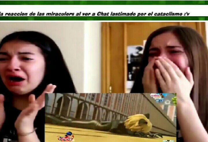 Memes de ladybug Miraculer Miraculous Ladybug Español Amino