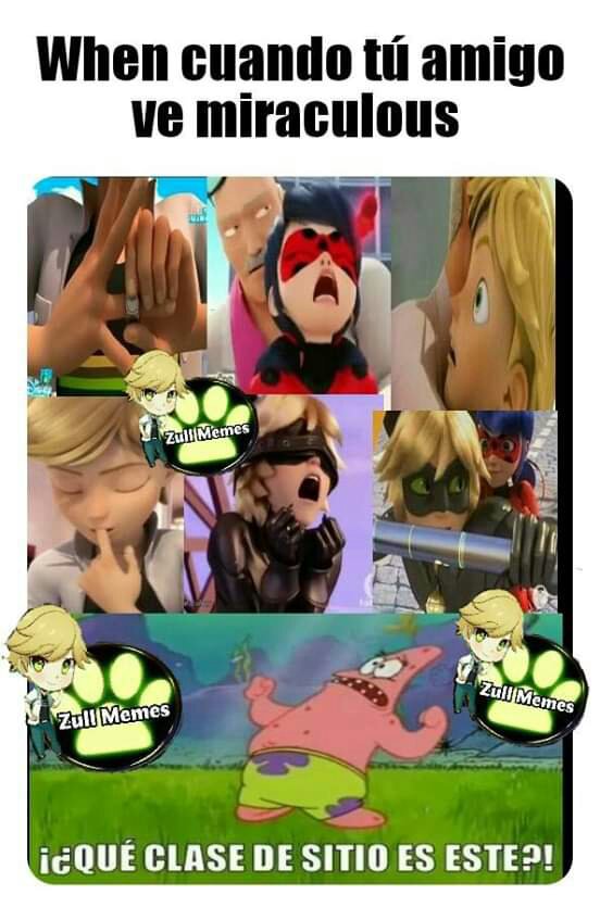 Memes Miraculous Ladybug Español Amino