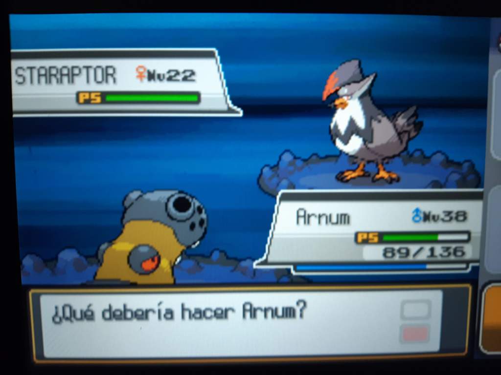 Pokèmon HG randomhardlocke cap 14 La ruta helada Pokémon En Español