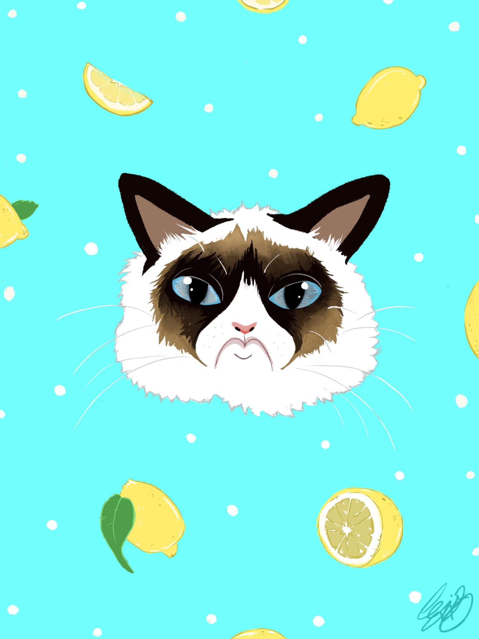 A Grumpy Cat Tribute Digital Art Amino 