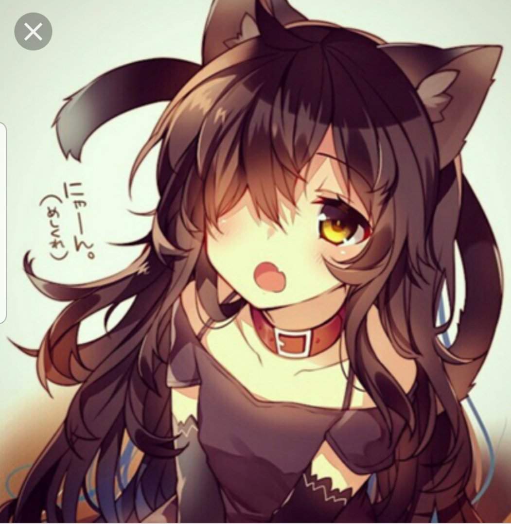 kaitlyn-wiki-roleplayer-s-anime-amino-amino